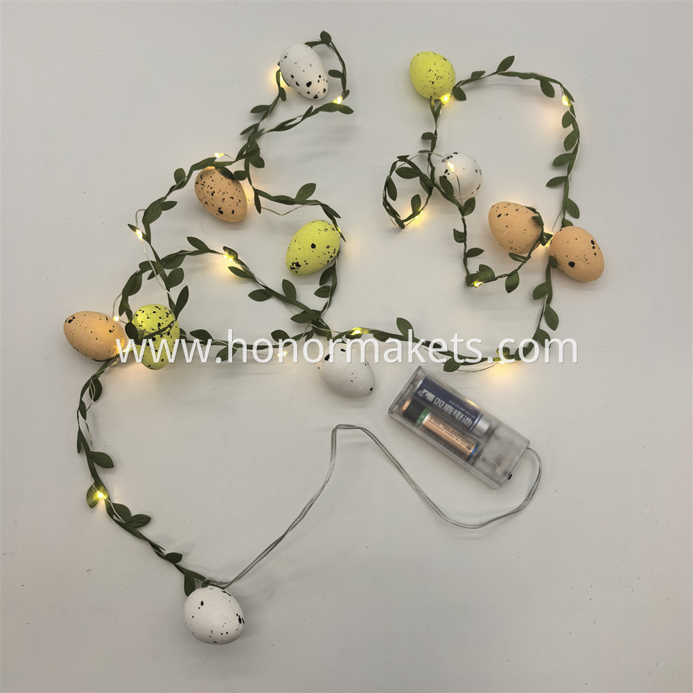 EA207 (6)